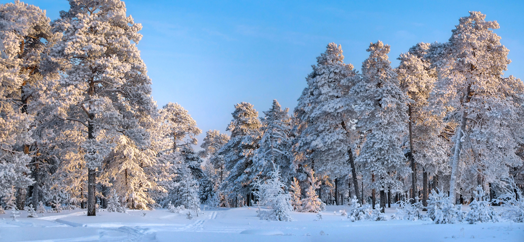 морозно, тихо, и свежо...