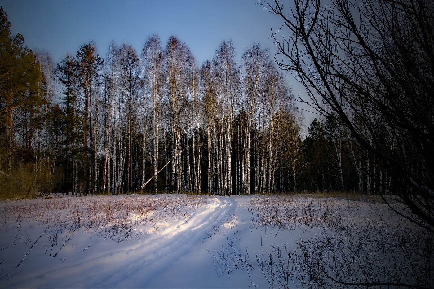 Зимним вечером.
