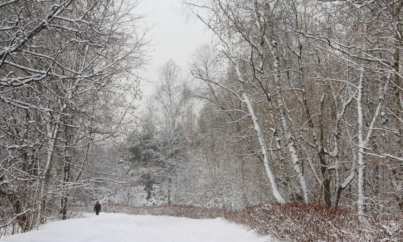Зимний пейзаж!