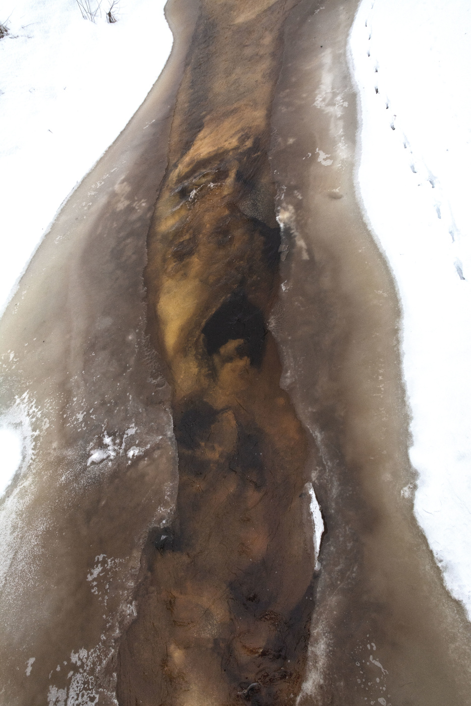 Жизнь вокруг