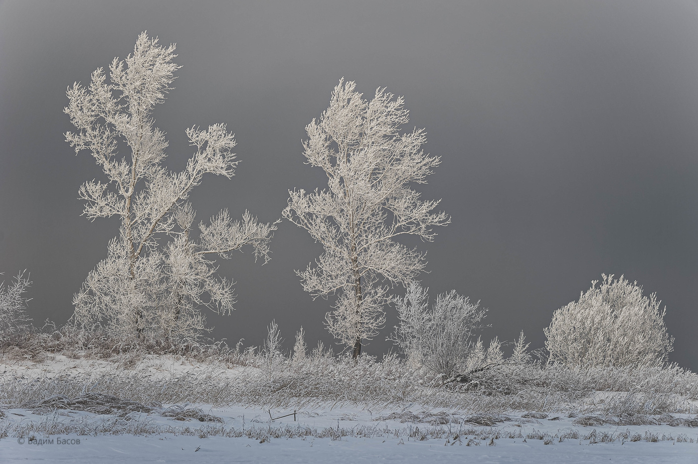 Морозное дыхание ..