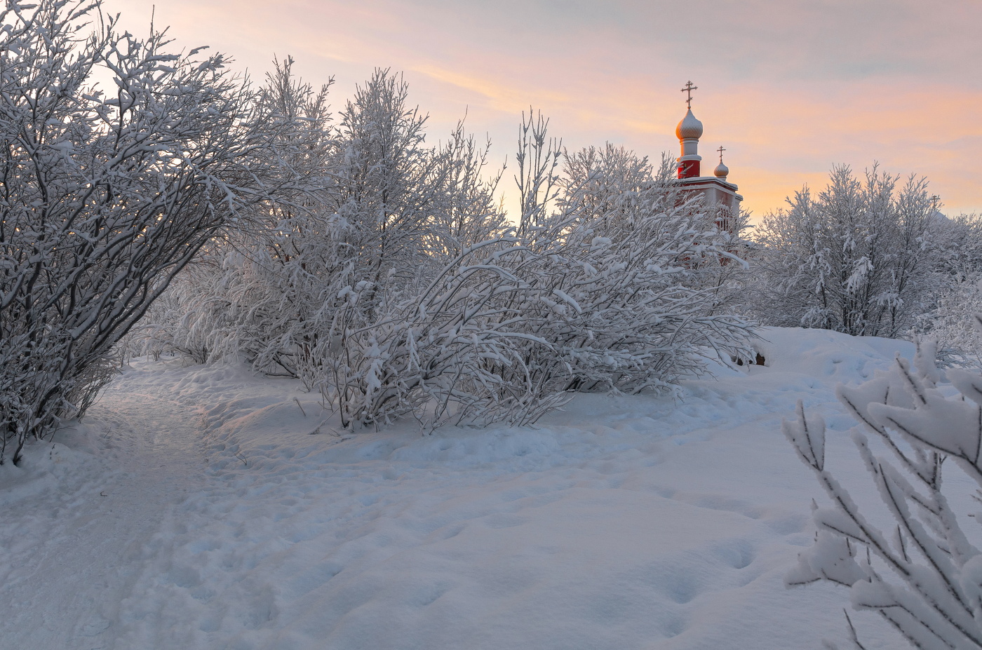 под заснеженными ветвями