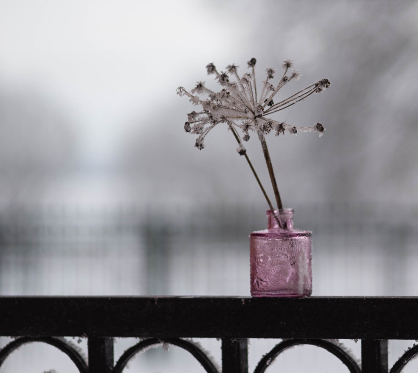 В последний день января