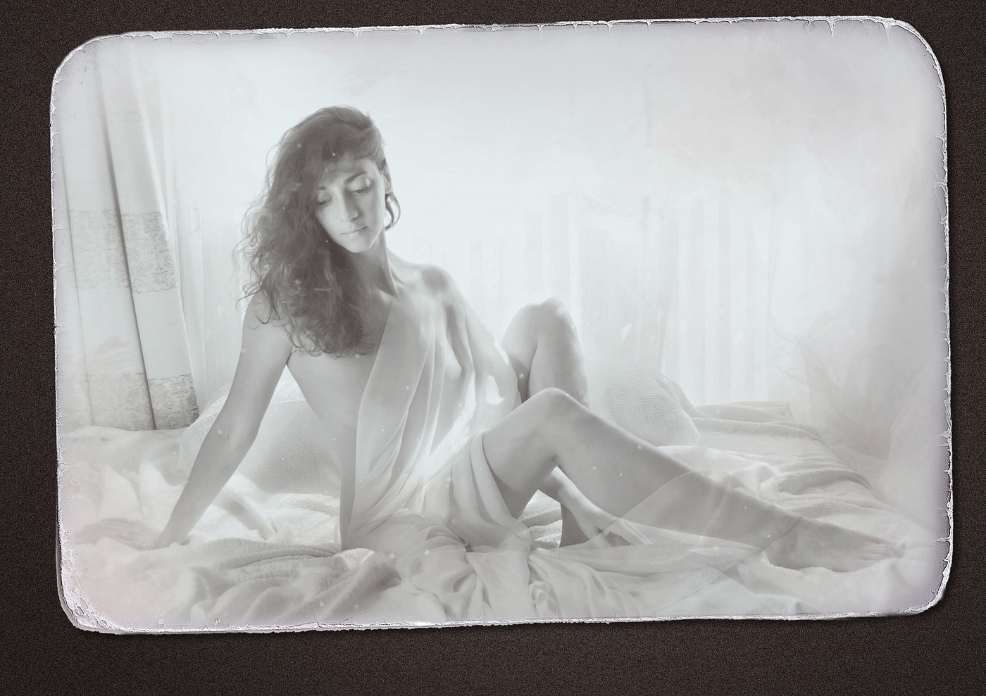 Утренний свет