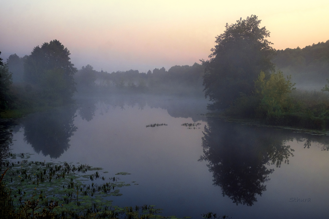 В сумерках.