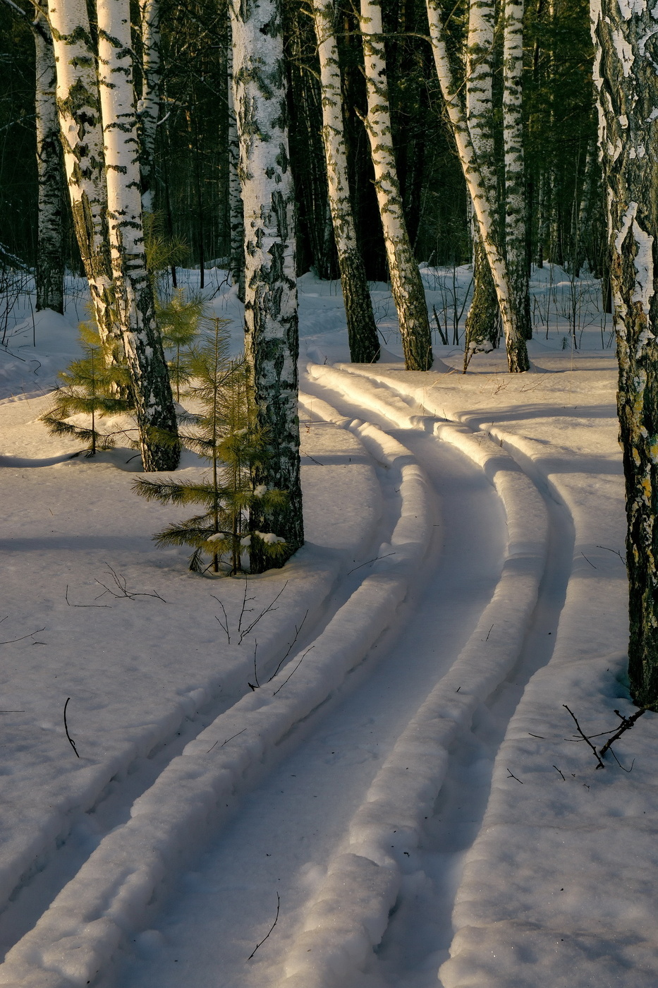 Коротким зимним днём.**