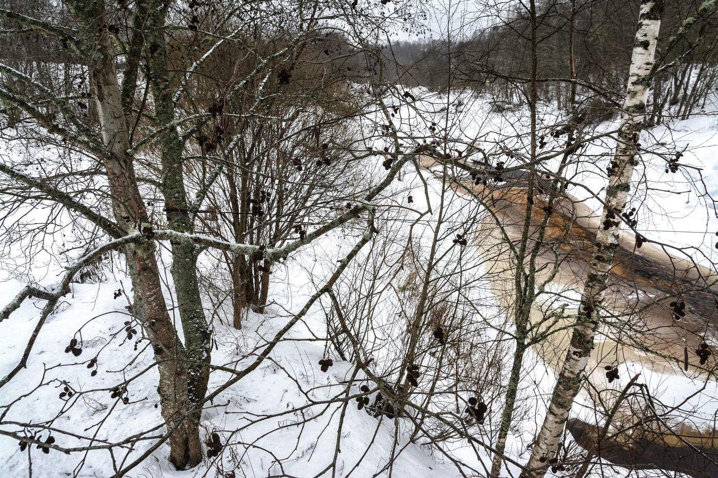 Жизнь вокруг