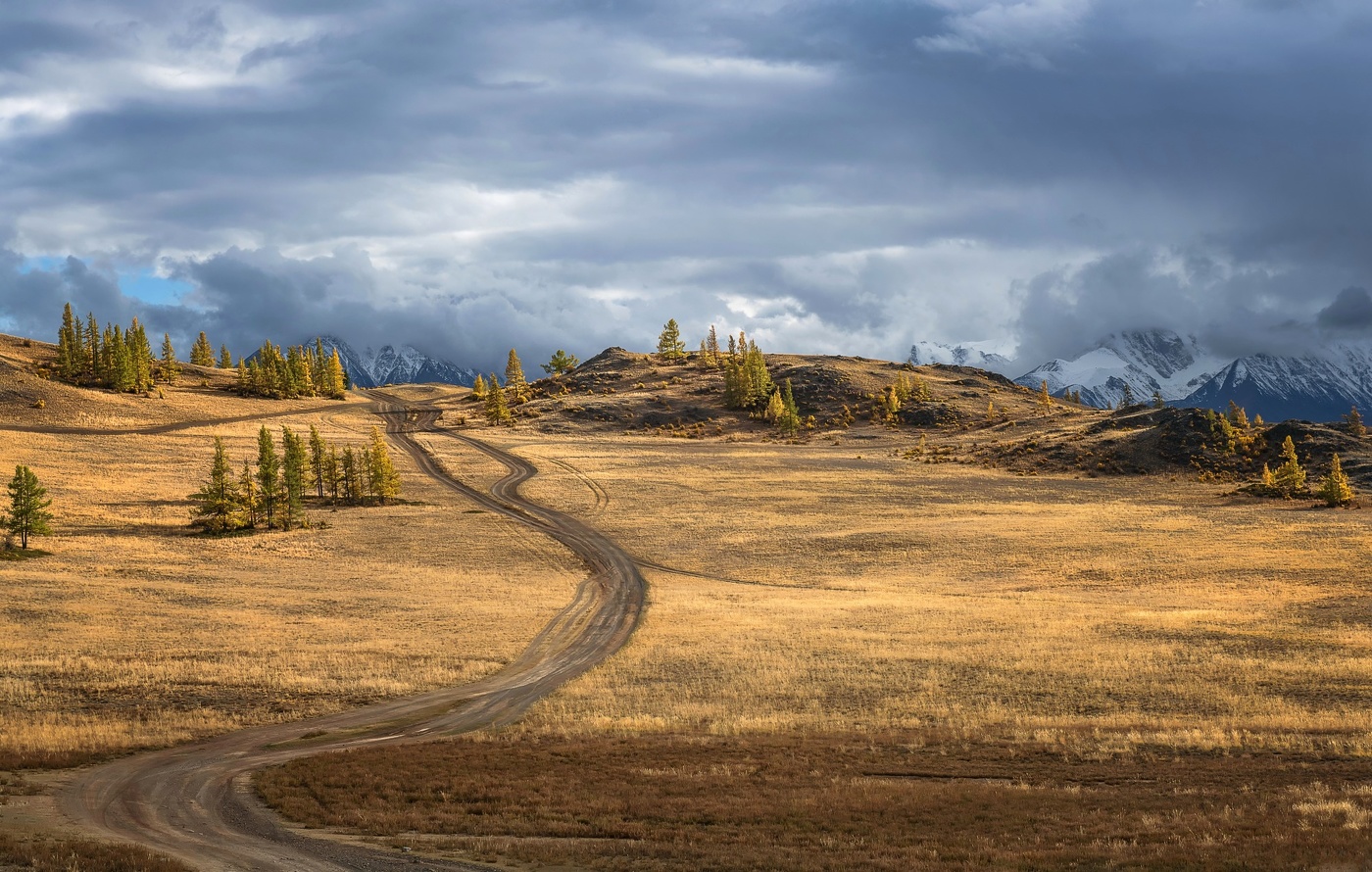 Дорогами Алтая