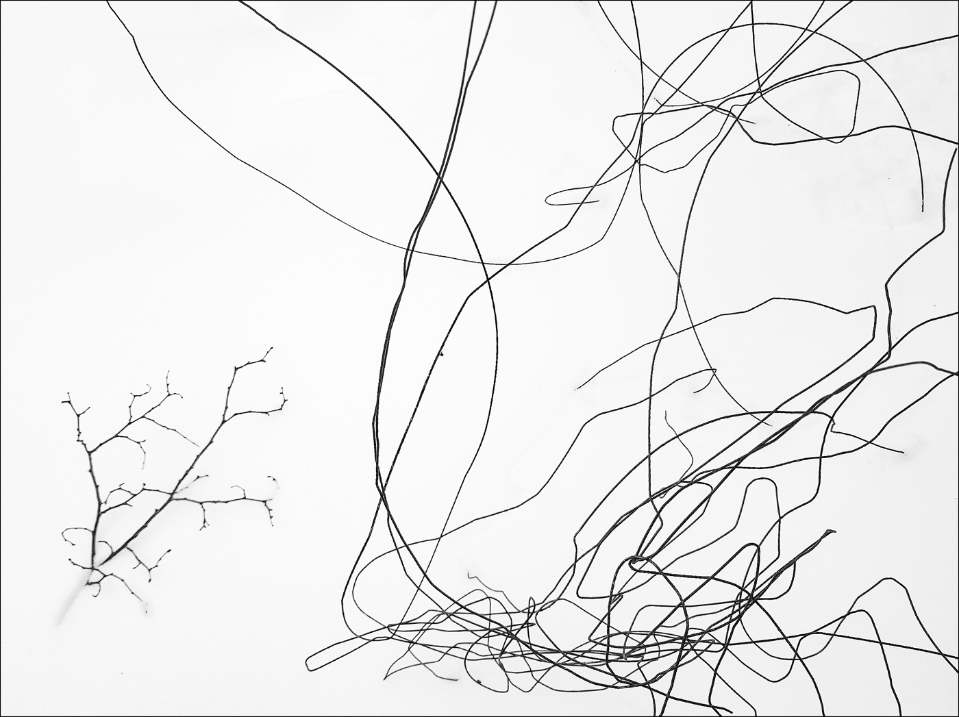 Графика января.