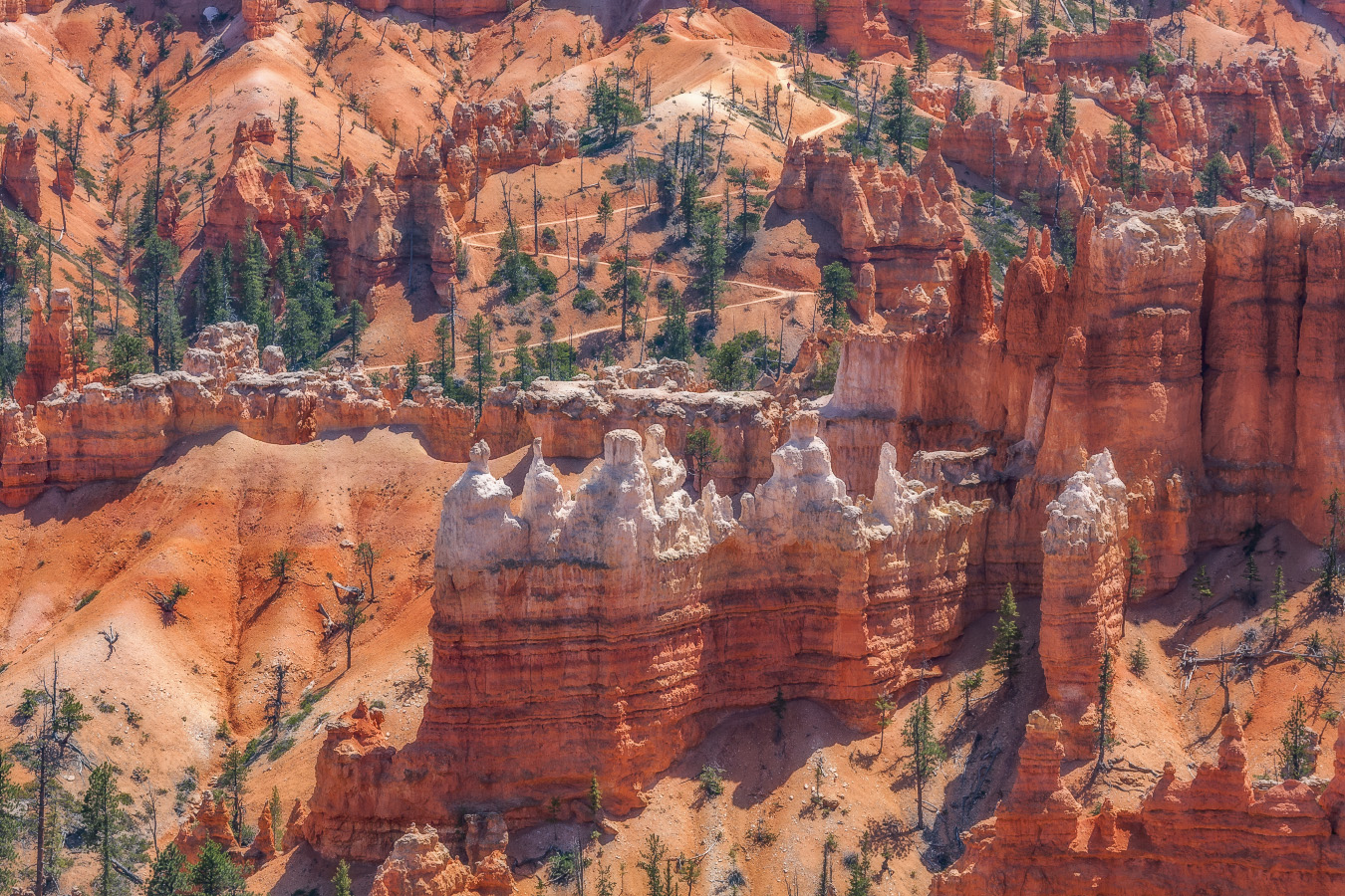 Генералы песчаных каньонов