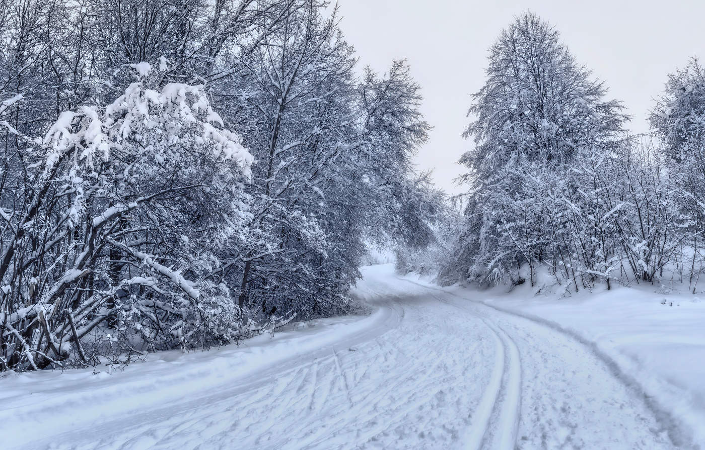 Сквозь кружева зимы.