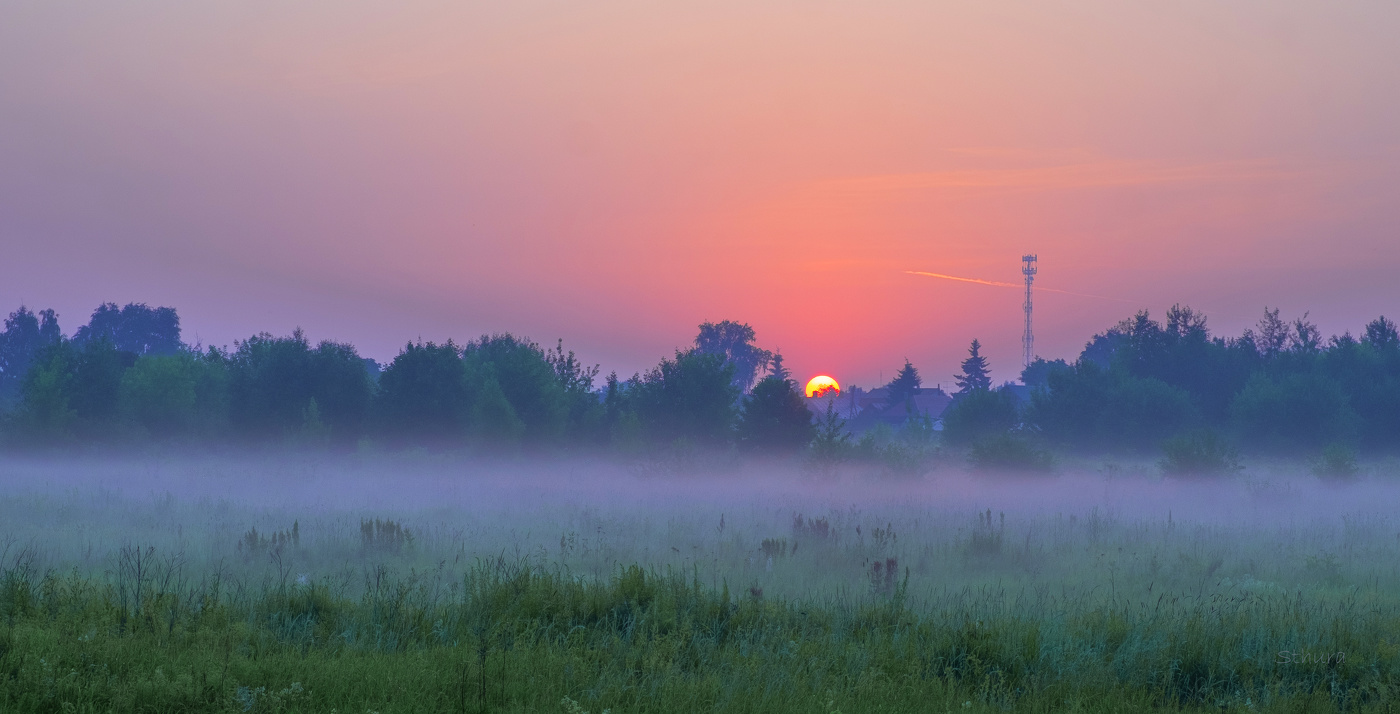 Летнее утро.