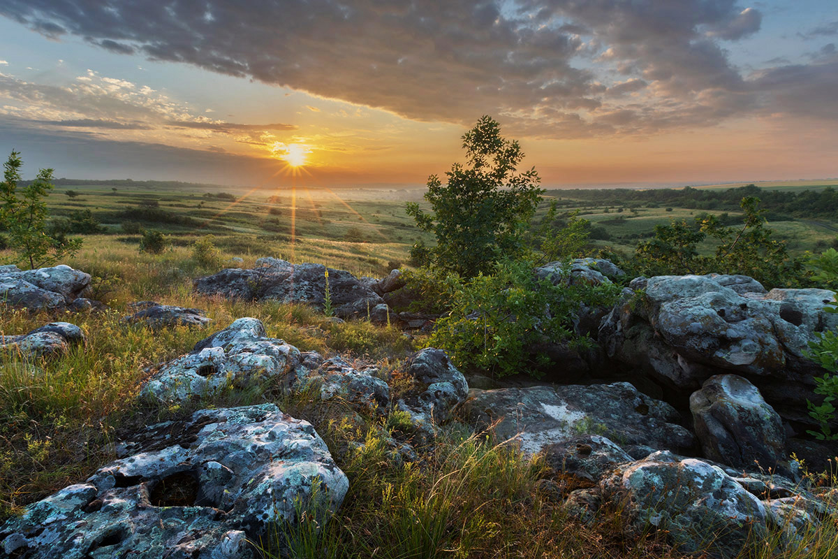 Июньские картинки
