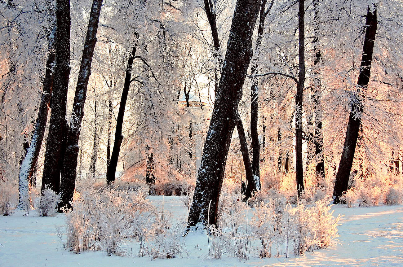 Сквозь вечерние узоры инея