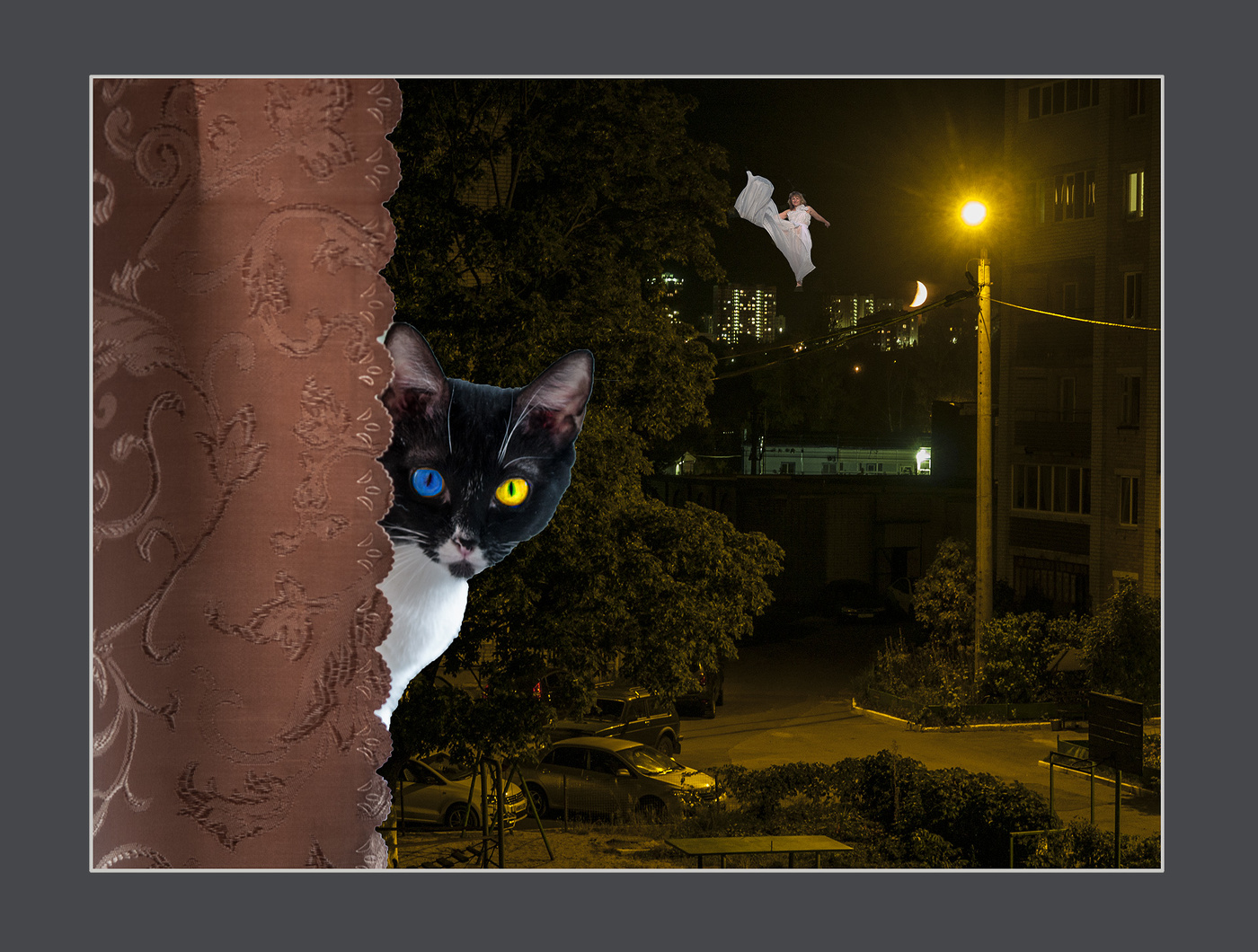 Ночь на растущей Луне