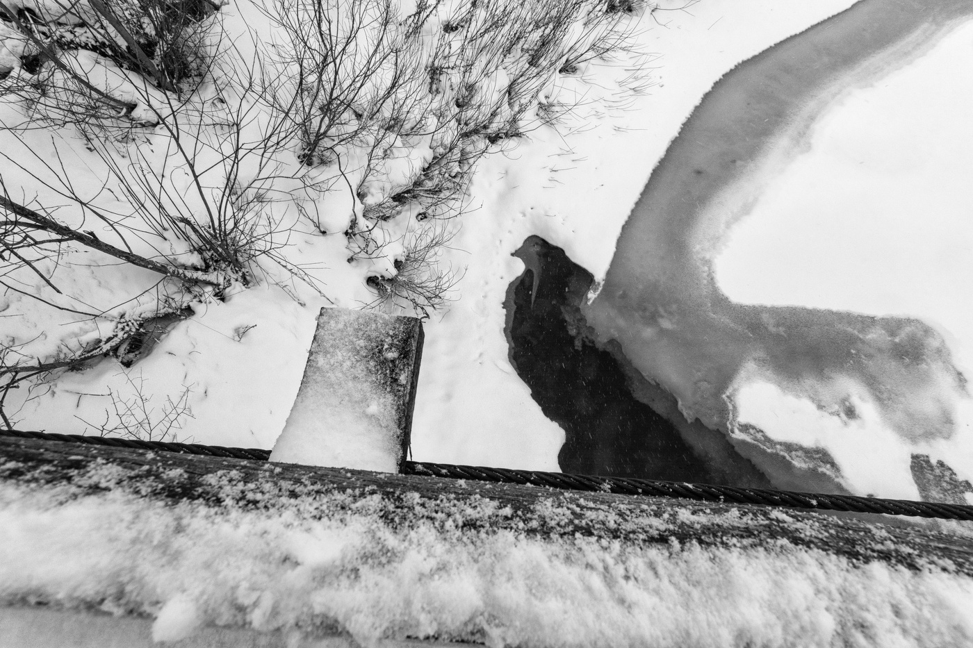 Жизнь вокруг