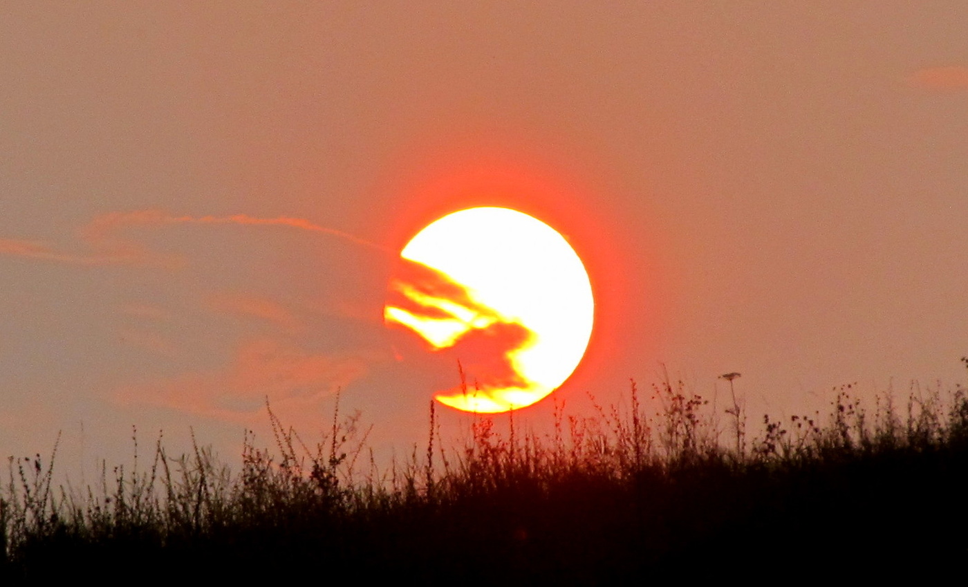 Оранжевое солнце!