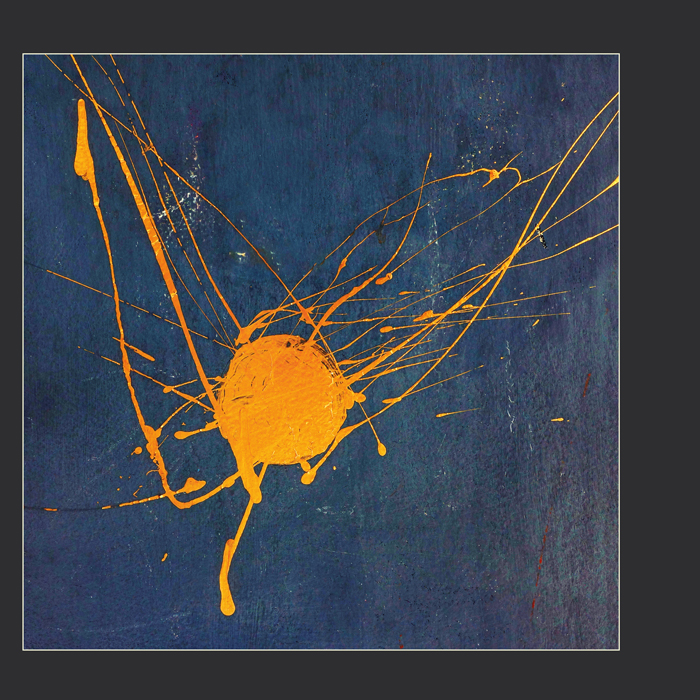 Снимок принимает участие во флешмобе на тему «Оранжевый цвет/свет»