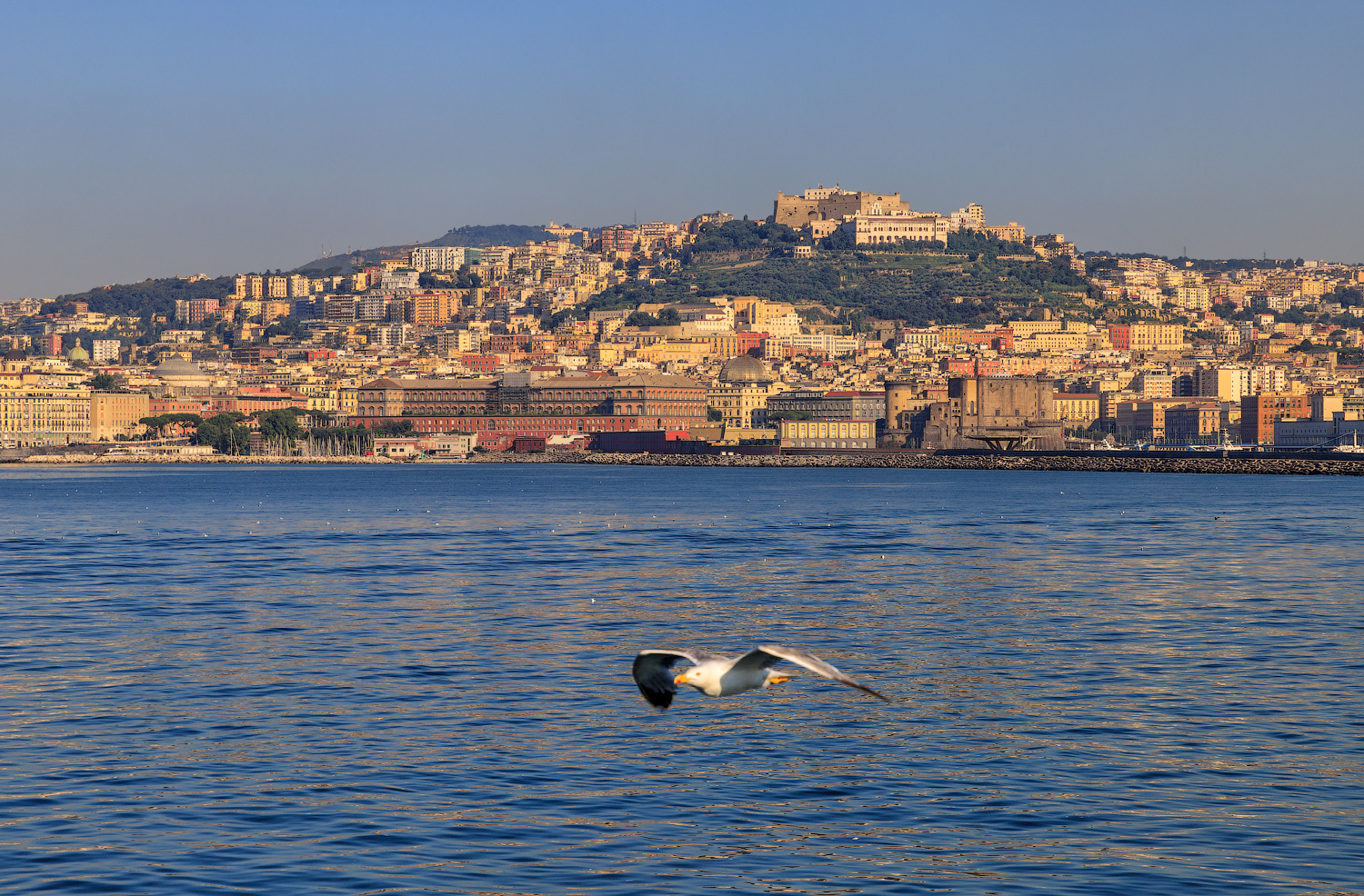 Утренний город у моря