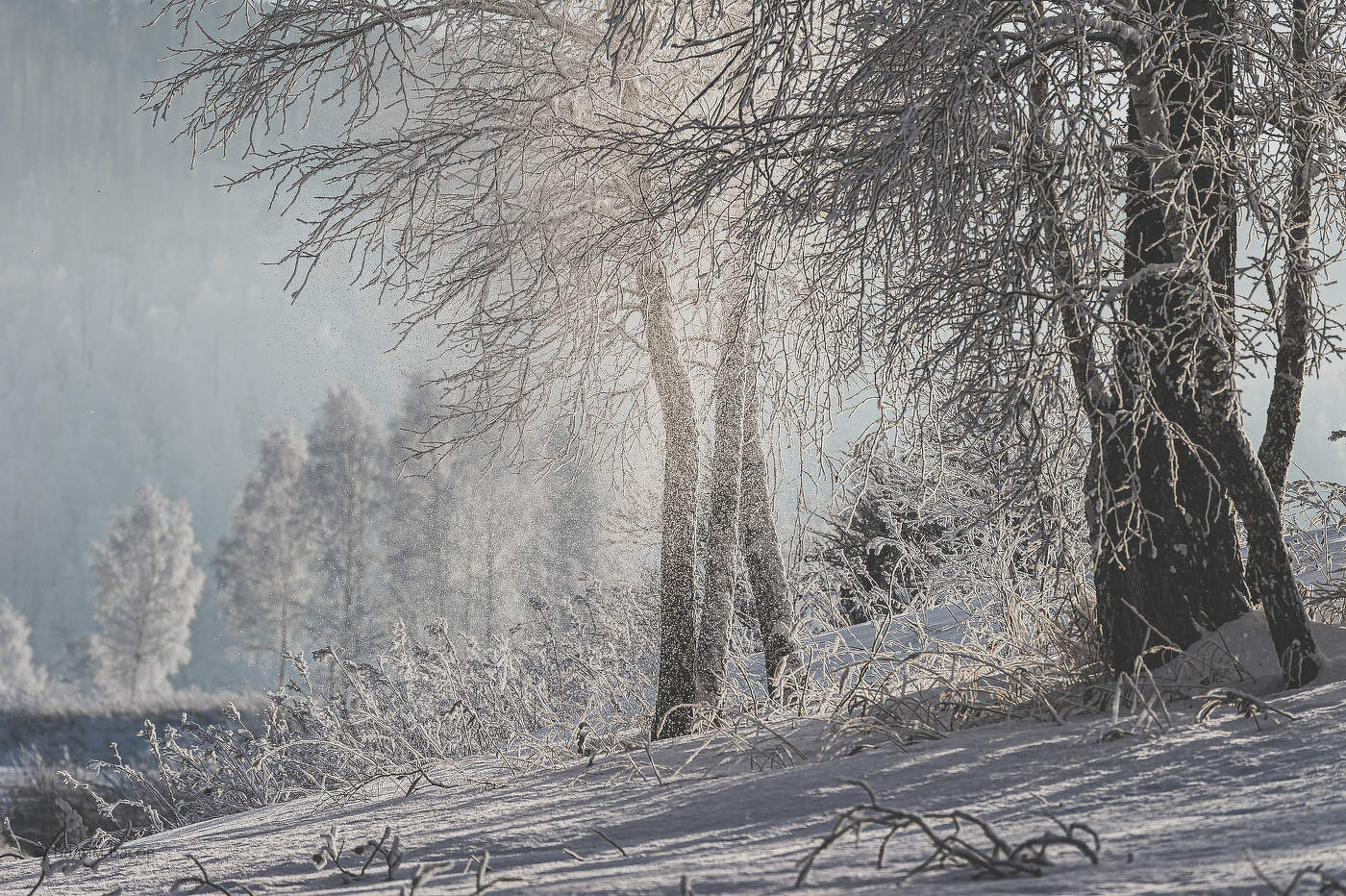 Морозное, жестокое, но-волшебное!