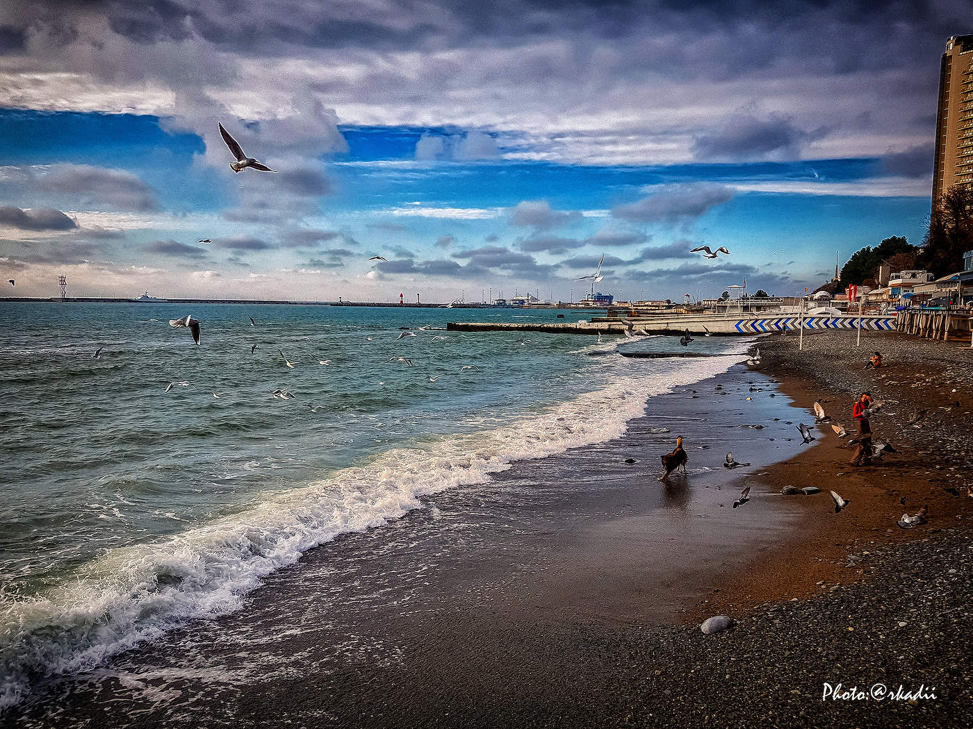 Хозяин пляжа...