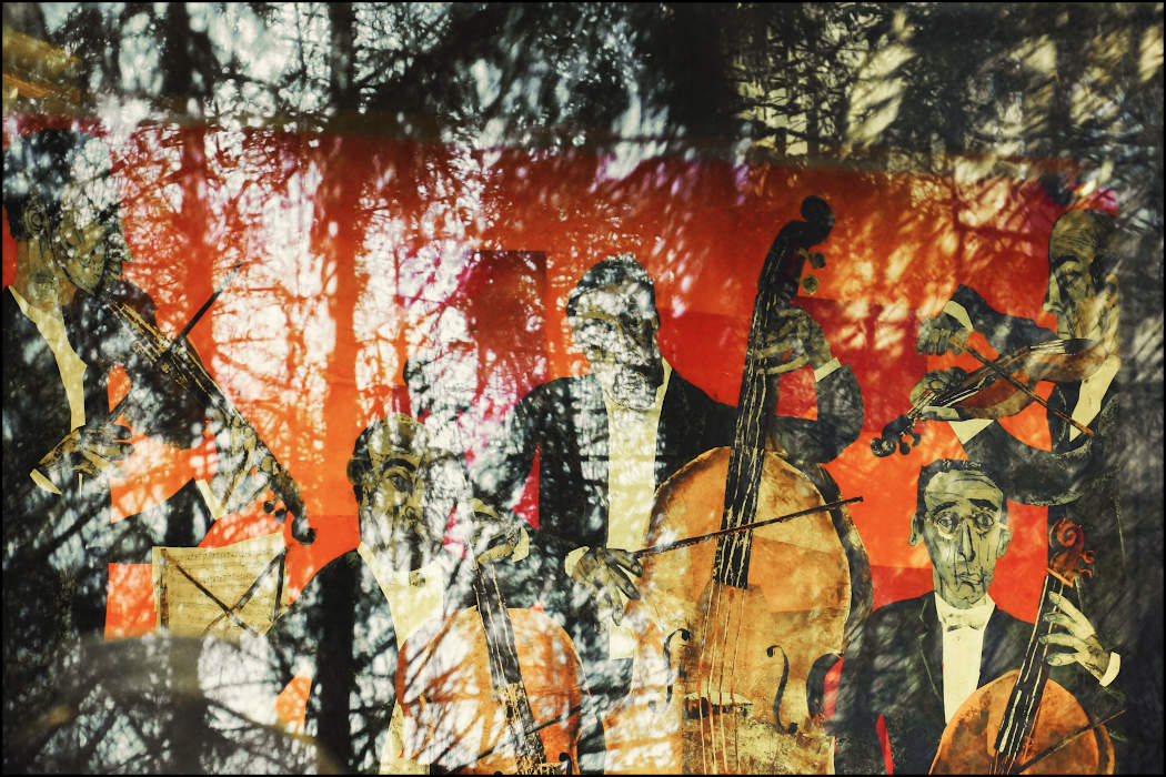 Снимок принимает участие во флешмобе на тему «Оранжевый цвет/свет»