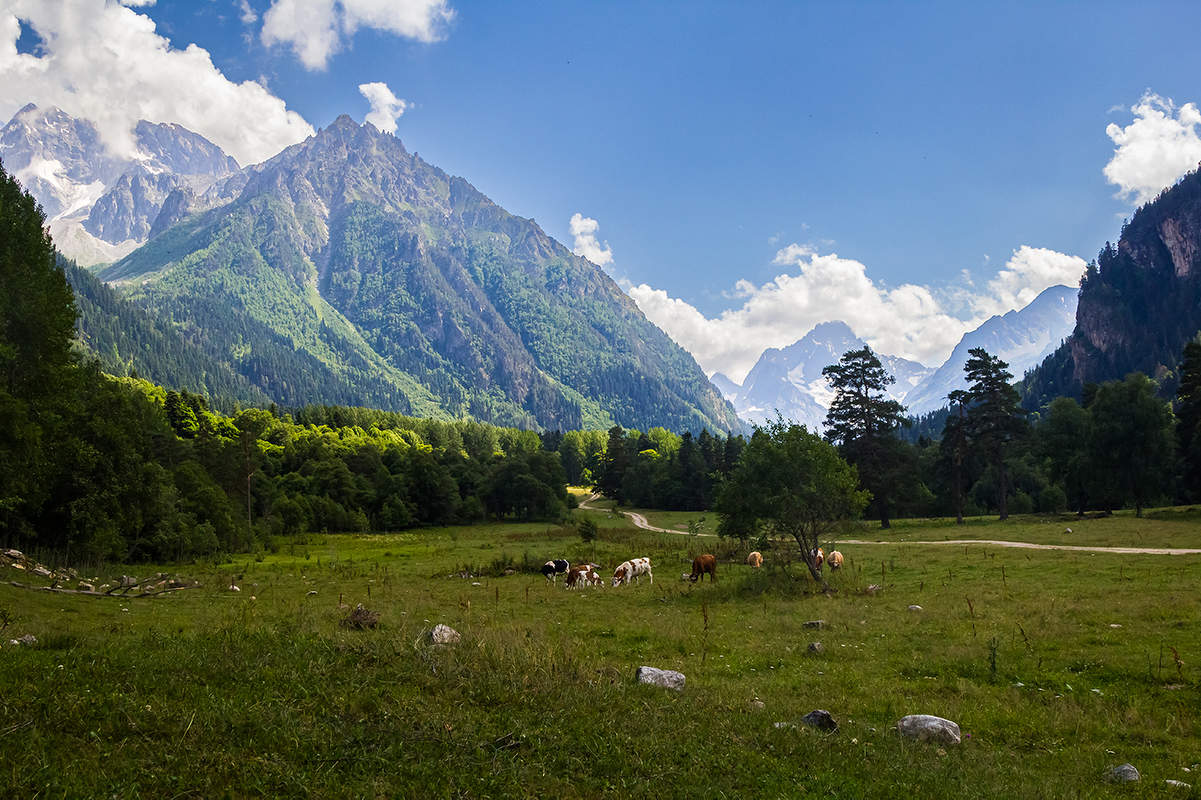 В горах Кавказа