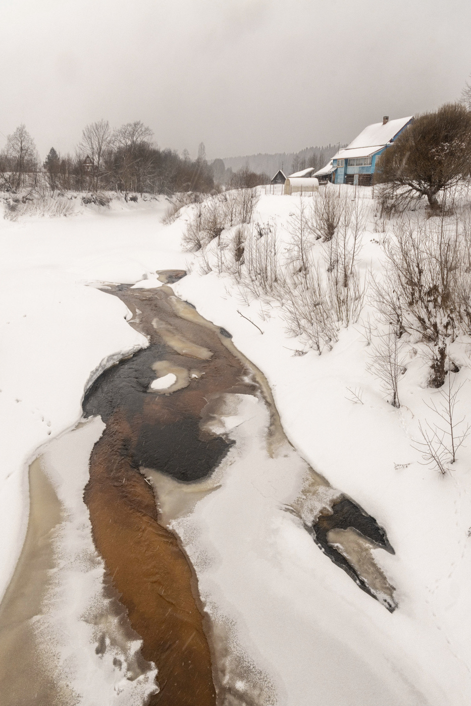 Жизнь вокруг