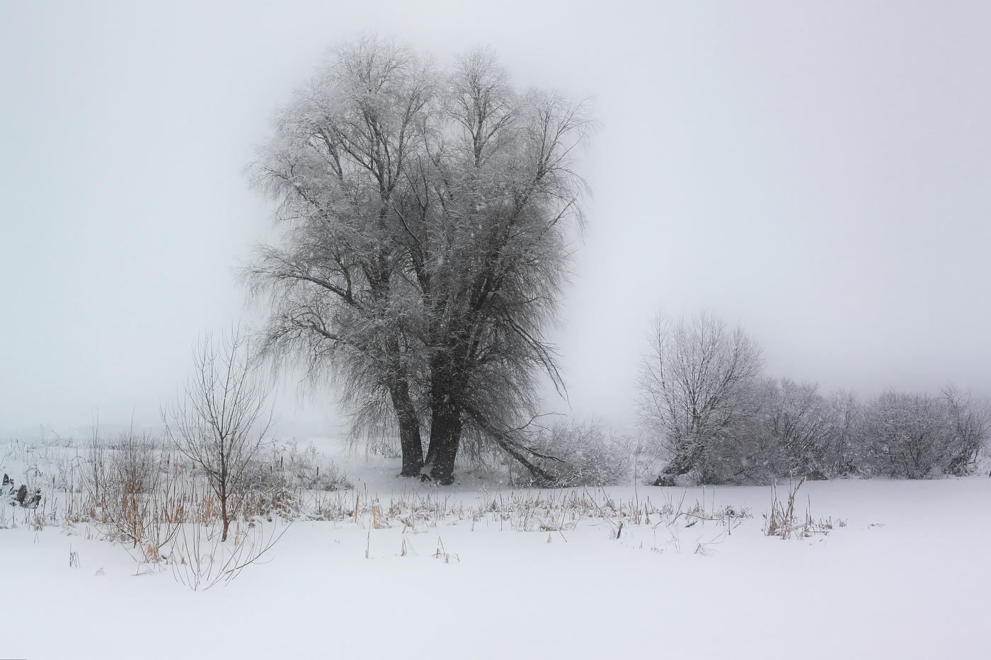 Мартовский пригород