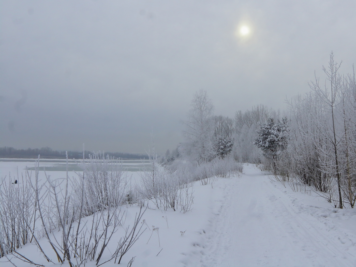 Метель завируха