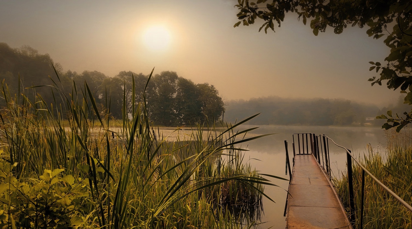 Медовый рассвет.