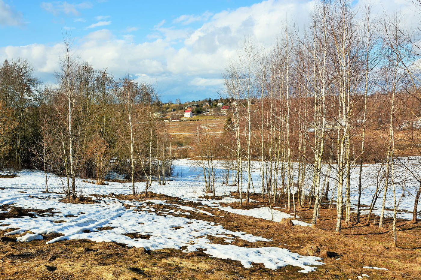 Весна идет ...