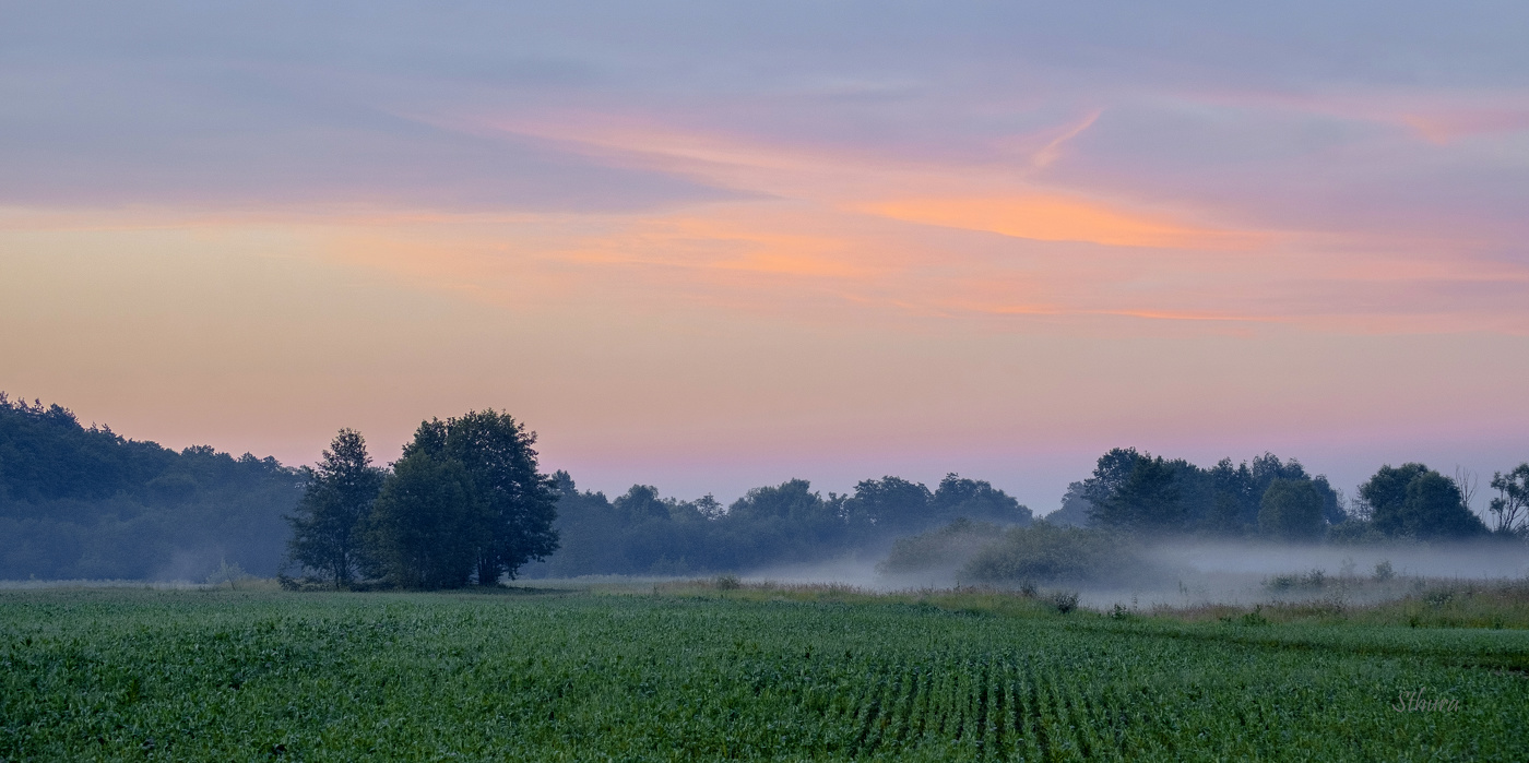 Летнее поле.