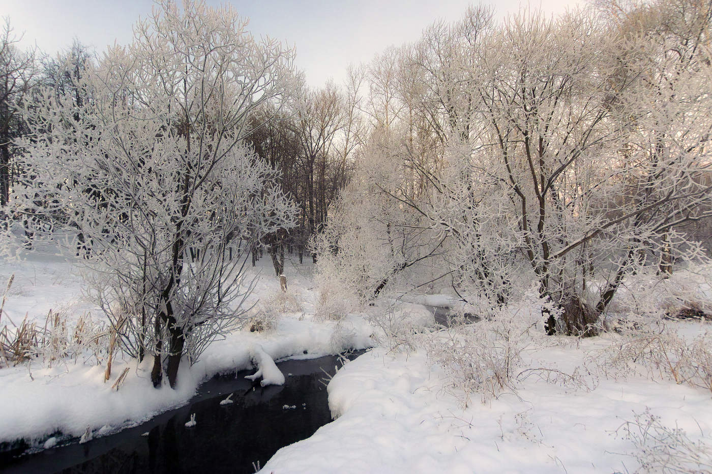 У зимней реки