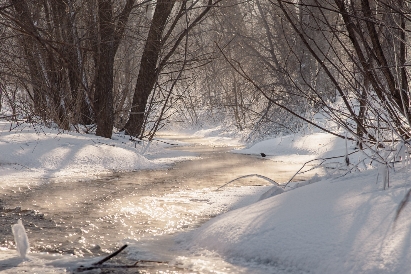 Речка в солнечный день