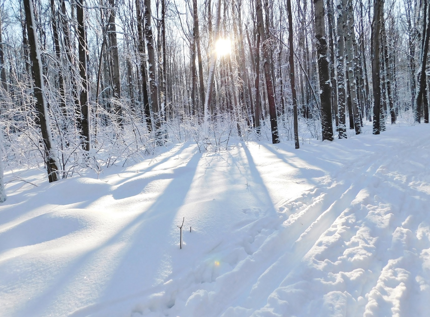 Февральское утро