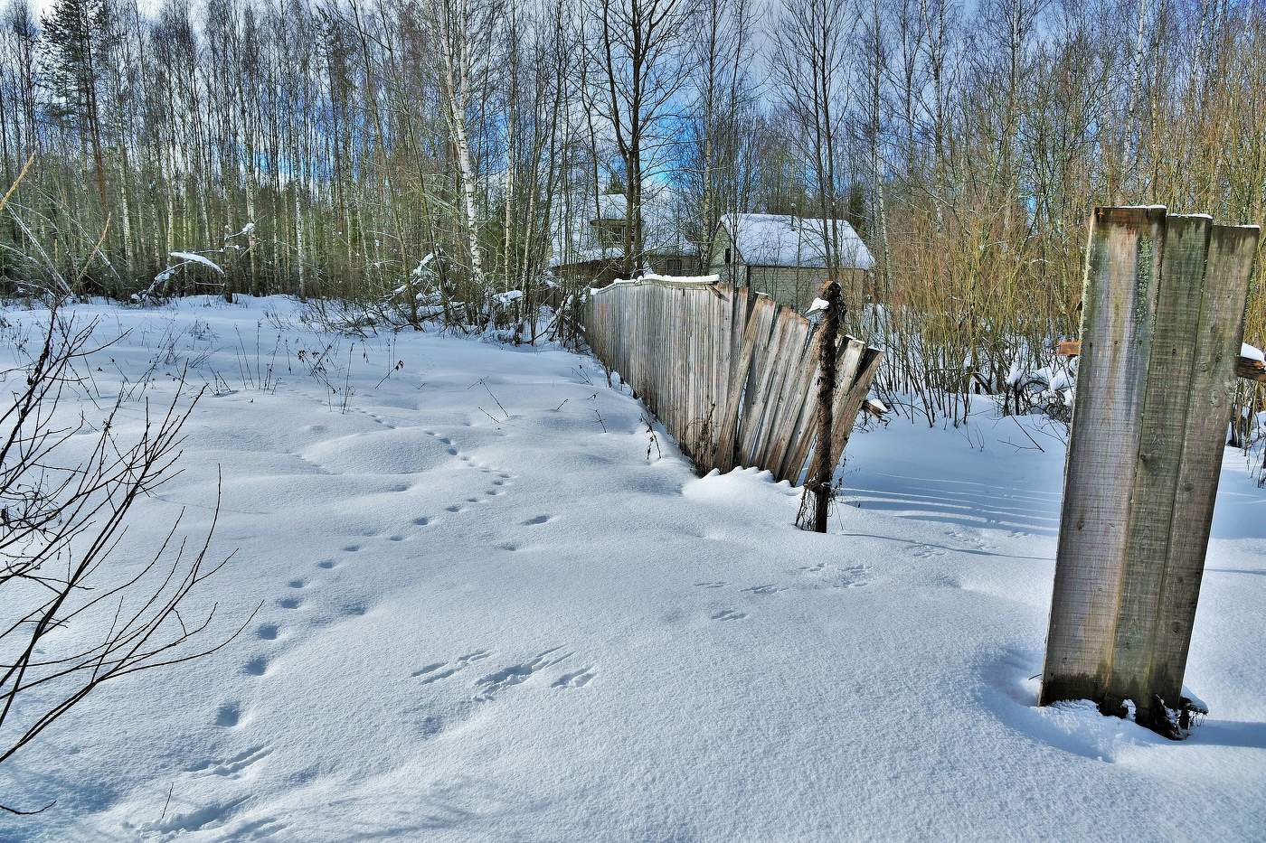 На дворе февраль ...