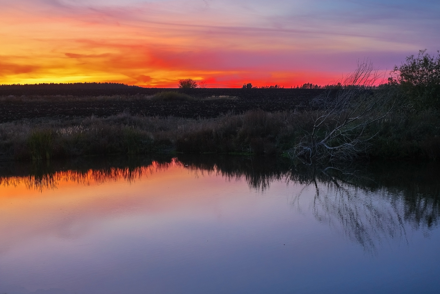 Скоро ночь...