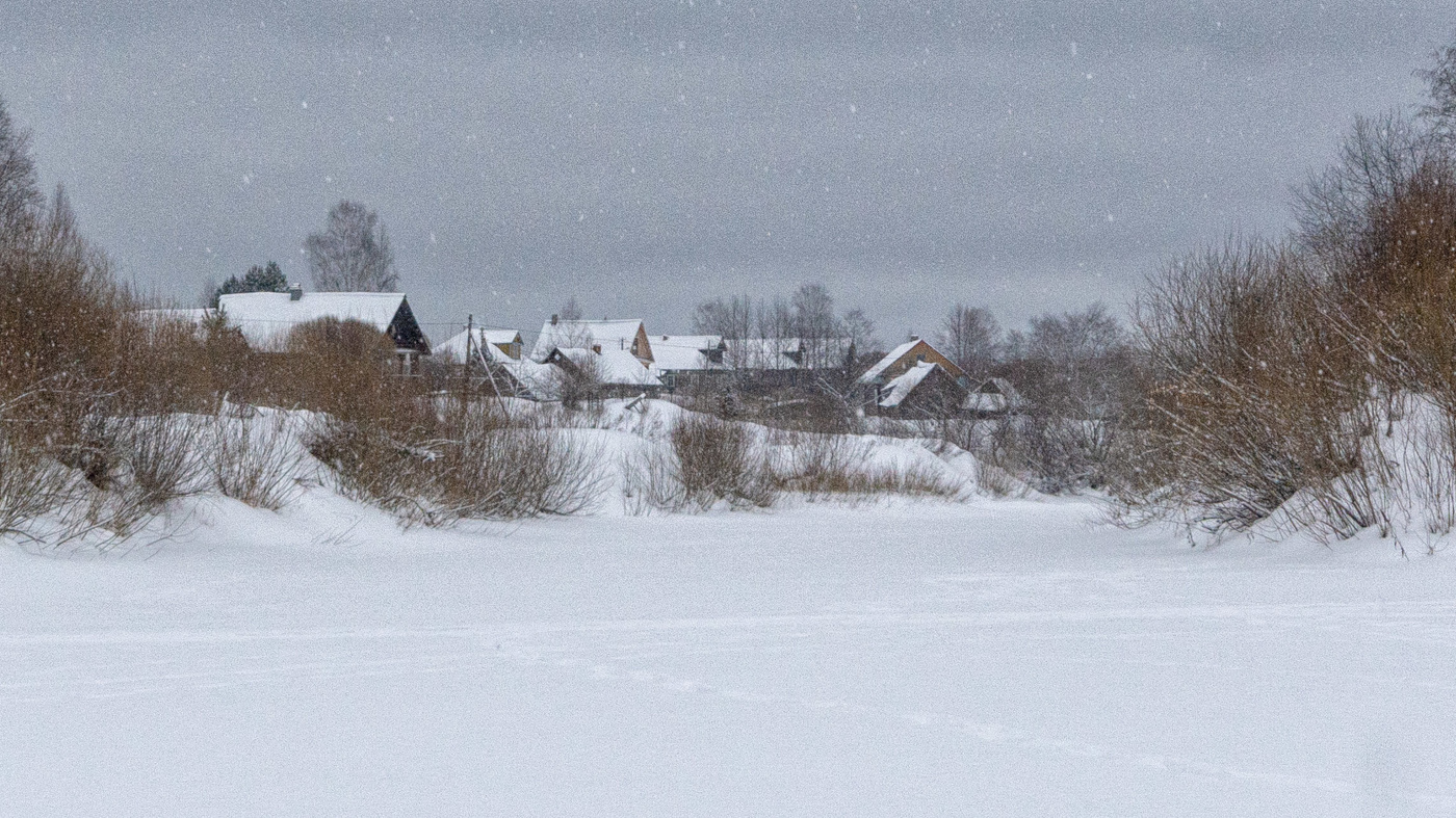 Жизнь вокруг