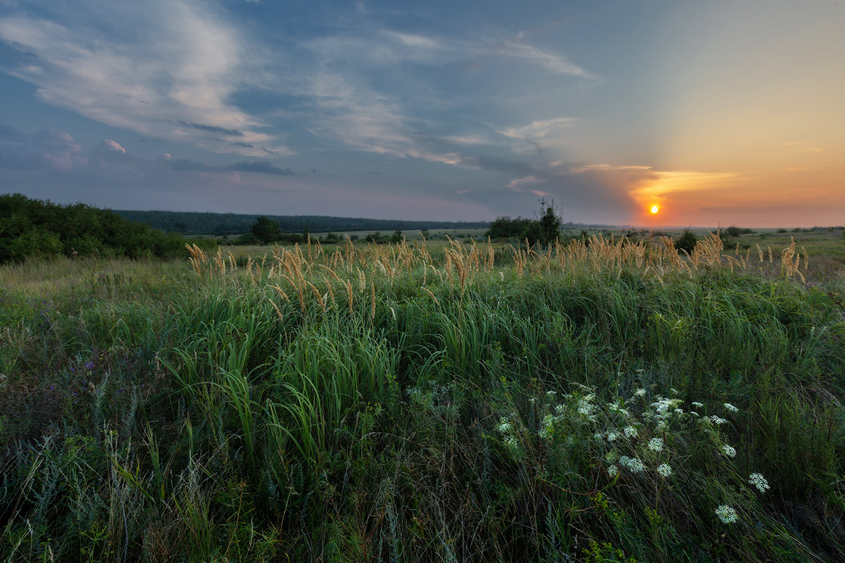 День прошел