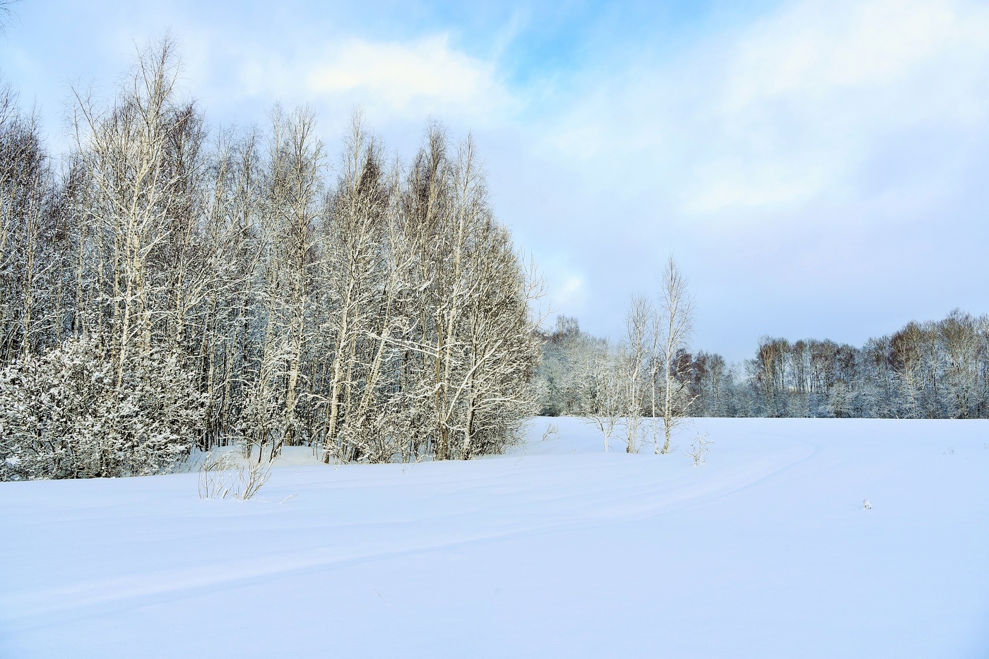 Легкий февральский морозец ...