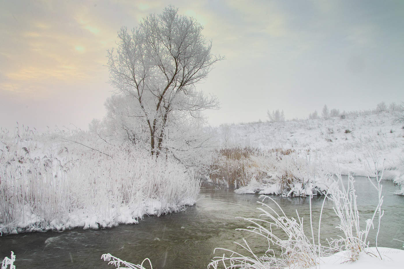 Морозные кисейные берега