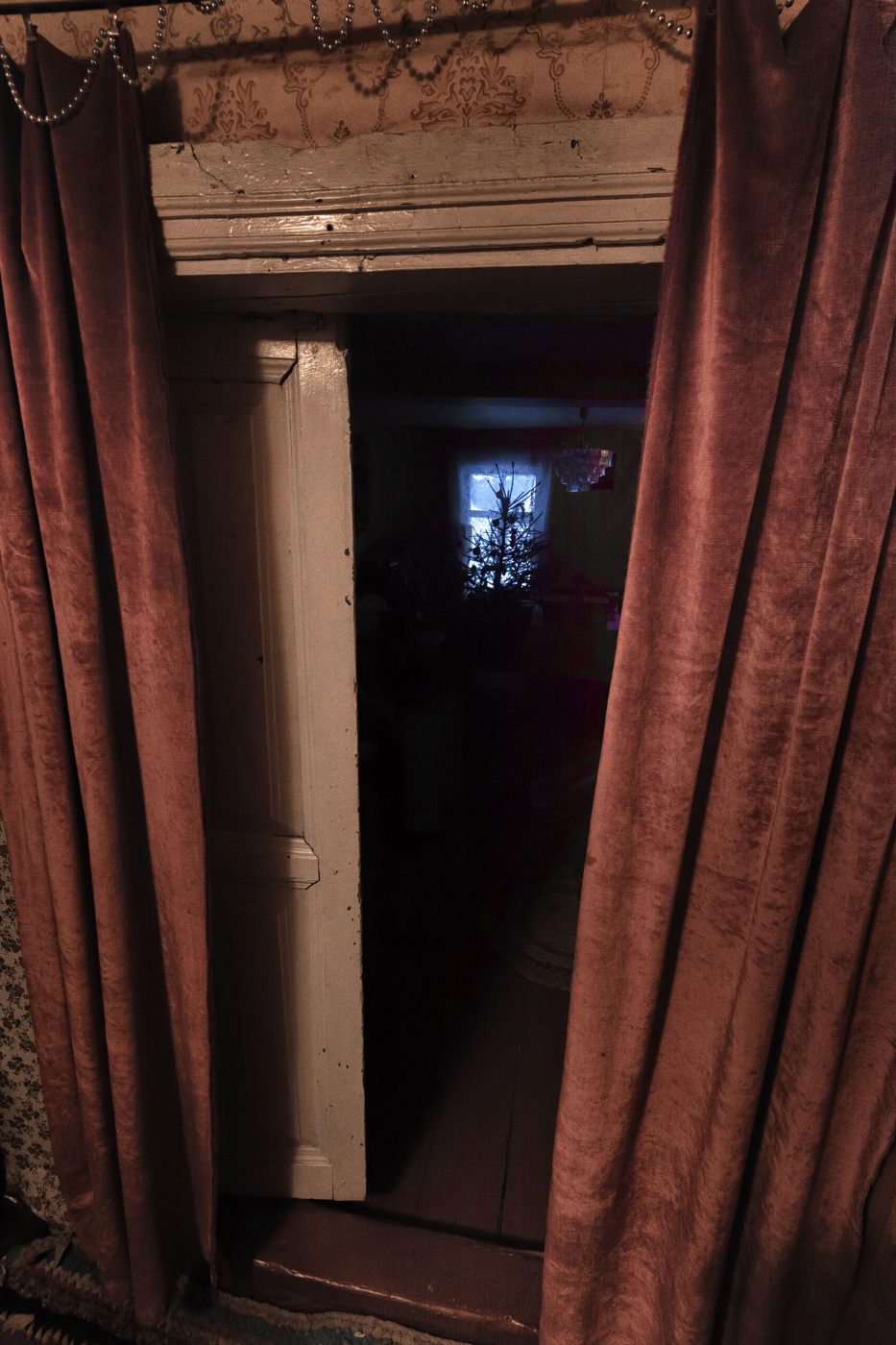 Жизнь вокруг