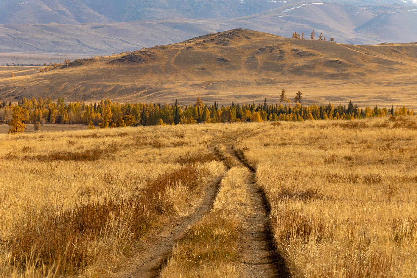 Направление