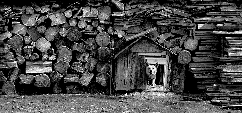 Завалили....