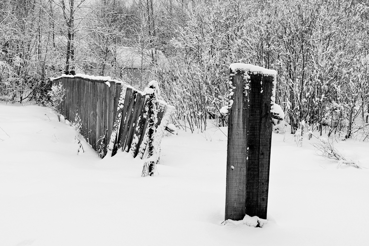 Февраль в деревне ...