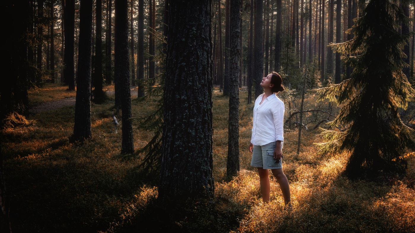Сказки братьев Гримм