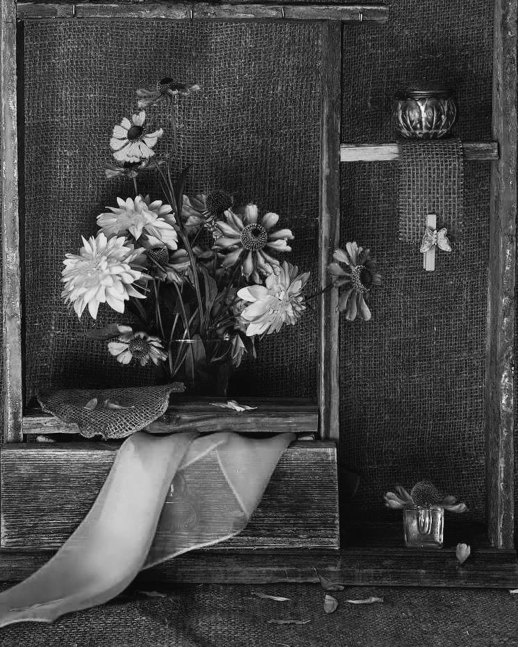 природа в ч/б