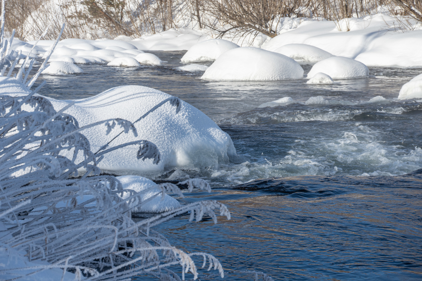 И мороз не помеха
