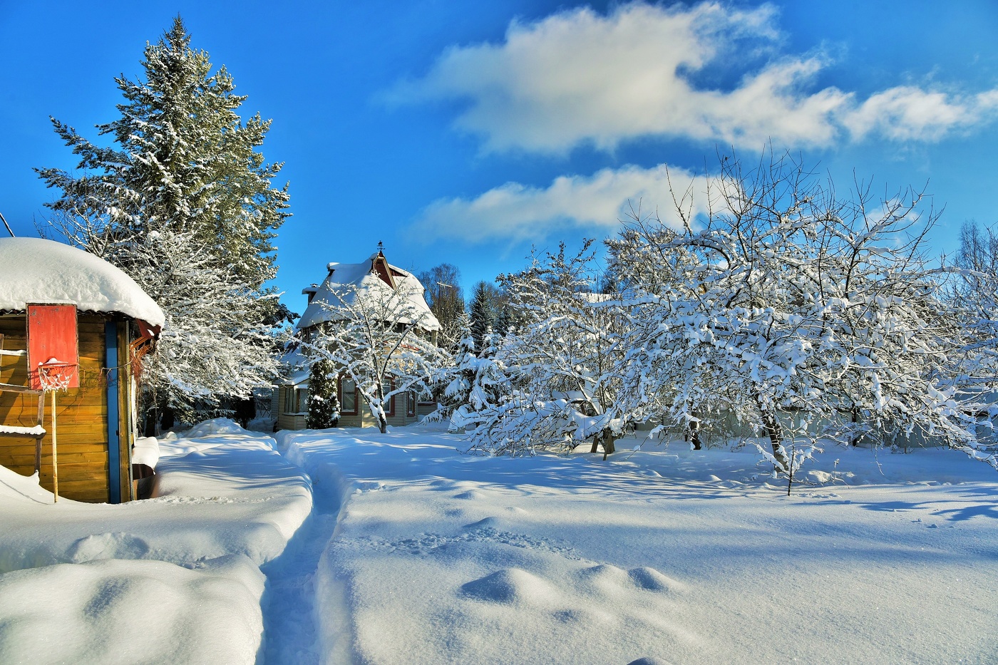 Солнечно, морозно и тихо ...